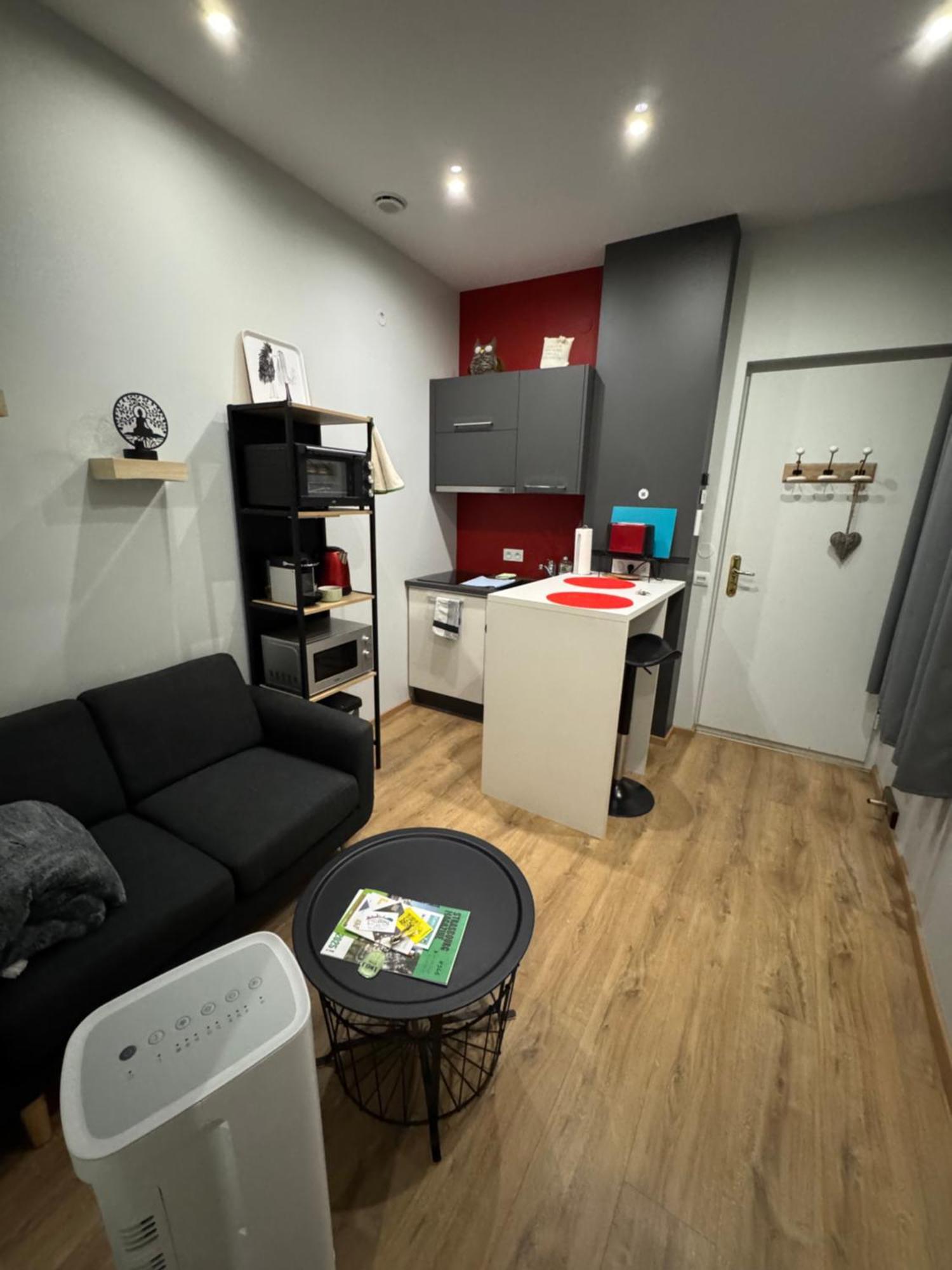 Les Appartements De L'Epine Страсбург Экстерьер фото
